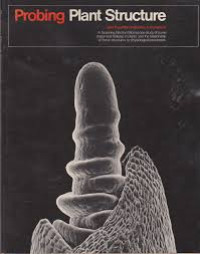 Probing Plant Structure